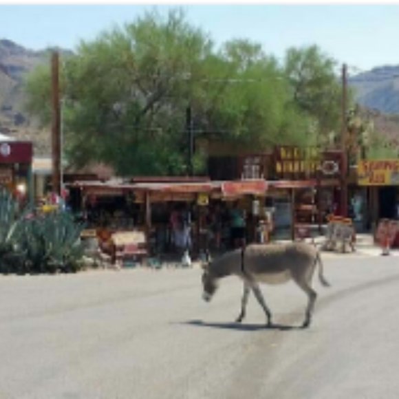 Reduced Rare Opportunity, Own A Nice Lot In Historic Oatman Arizona! Financing - Picture 3 of 12